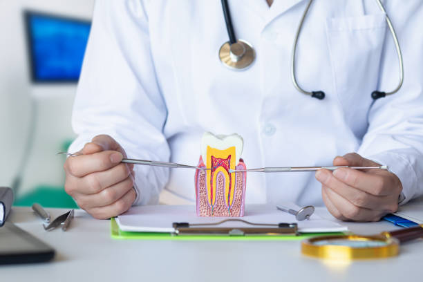 Best Tooth Infection Emergency Dentist  in Bronson, MI